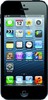 Apple iPhone 5 16GB - Будённовск
