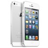 Apple iPhone 5 64Gb white - Будённовск